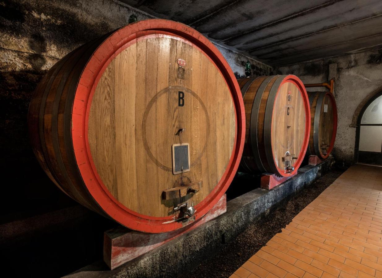 Le Murelle Country Resort Manciano Bagian luar foto