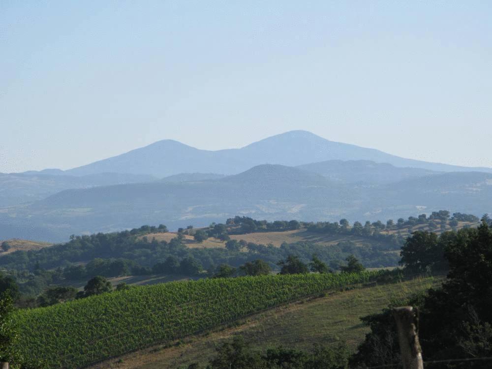 Le Murelle Country Resort Manciano Bagian luar foto